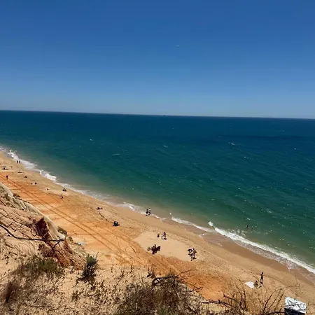 Dolly Monte - With Ocean View